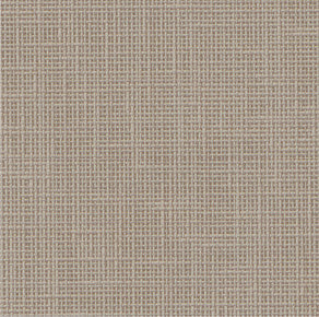 Lino informal